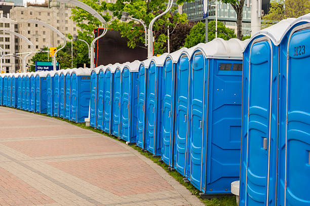 Best Deluxe Portable Toilet Rental  in Moss Point, MS